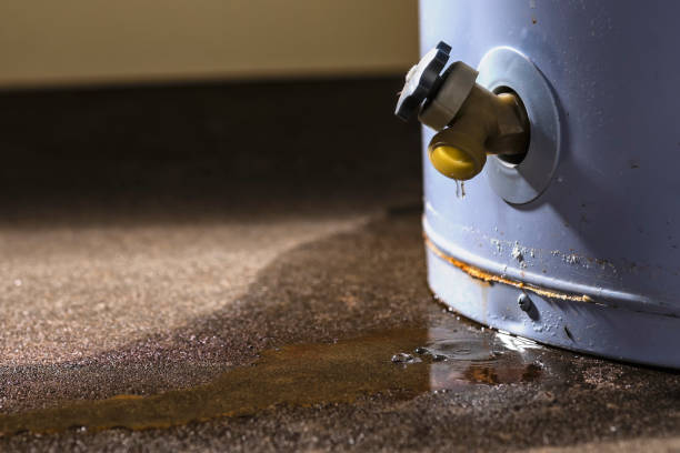 Best Water damage contractors near me  in Wilton Manors, FL
