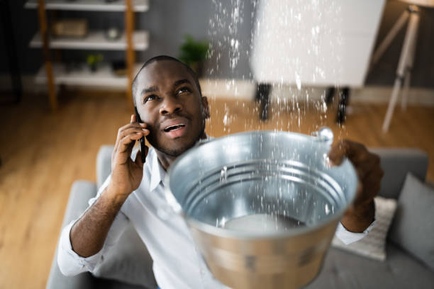 Best Carpet water damage restoration  in Wilton Manors, FL