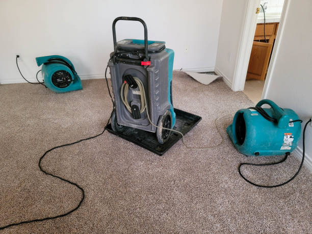 Best Water damage restoration specialists  in Wilton Manors, FL
