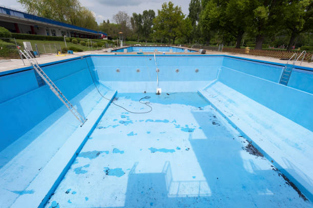 Best Water damage restoration process  in Wilton Manors, FL