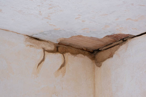 Best Sewage cleanup and water damage restoration  in Wilton Manors, FL