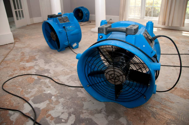 Best Fire Damage Restoration  in Wilton Manors, FL