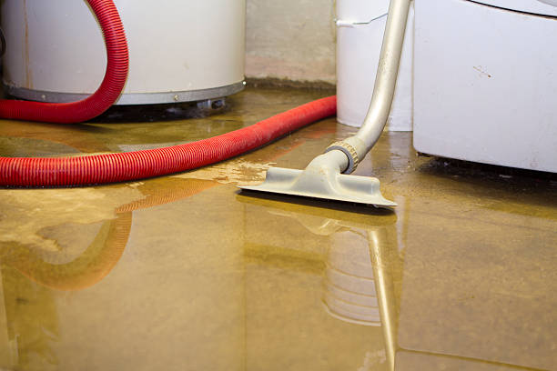 Best Basement water damage restoration  in Wilton Manors, FL