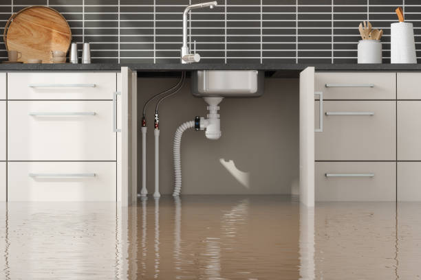 Best 24/7 water damage repair  in Wilton Manors, FL