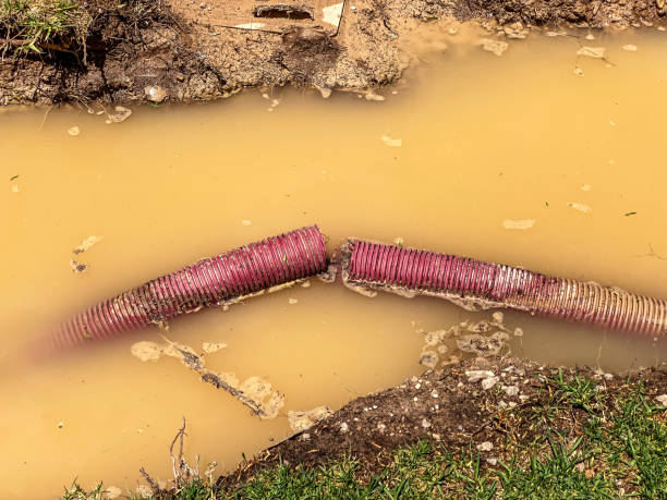 Best Flood damage cleanup  in Wilton Manors, FL