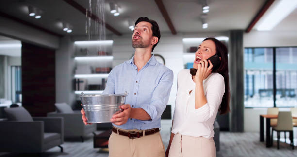 Best Flood restoration services  in Wilton Manors, FL