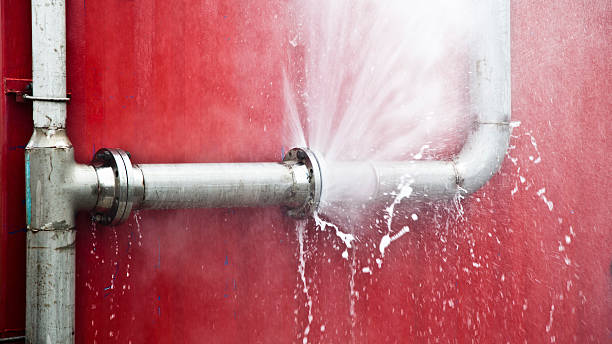 Best Residential water damage restoration  in Wilton Manors, FL